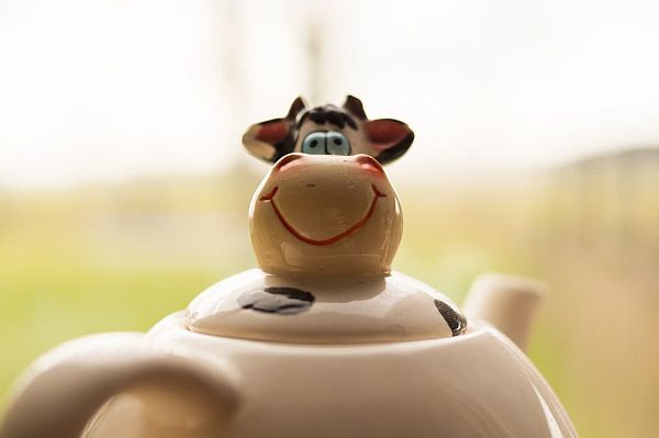 tea pot cow lid